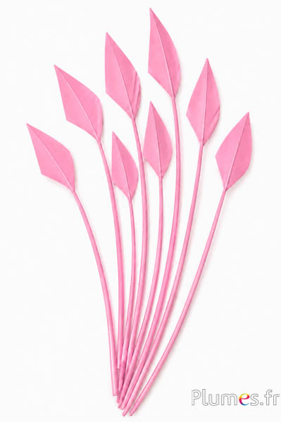 Zwaan pijl - 20-30 cm - roze